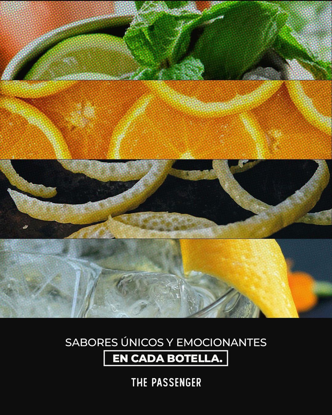 Gin Jupíterus Berries - Formato 700cc