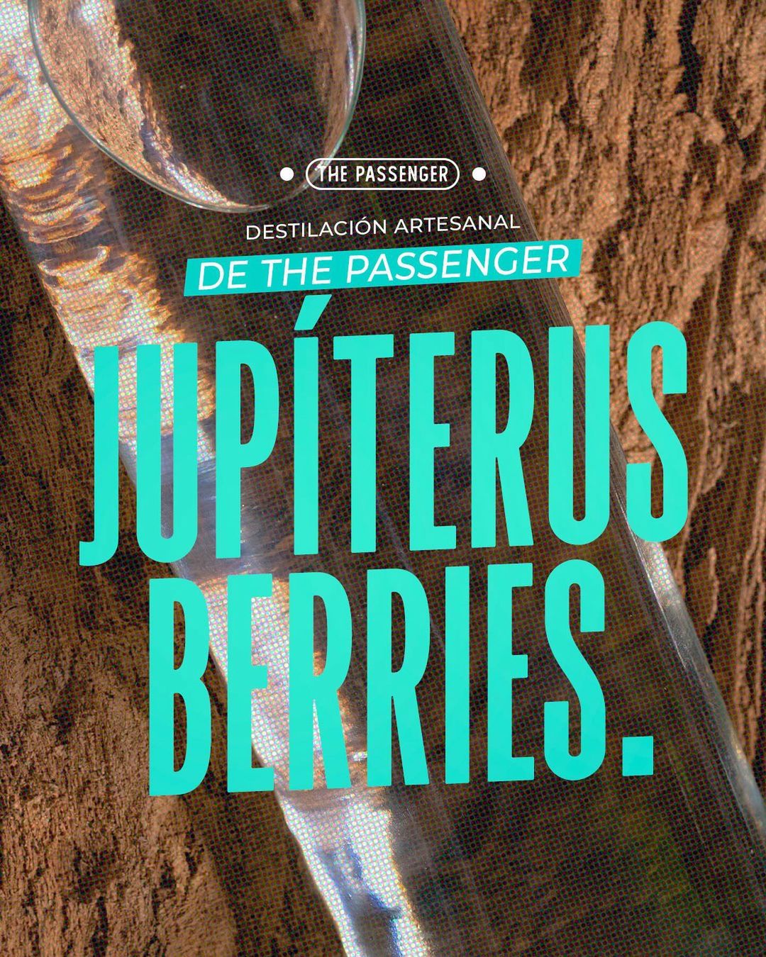 Gin jupíterus Berries - Formato 200cc